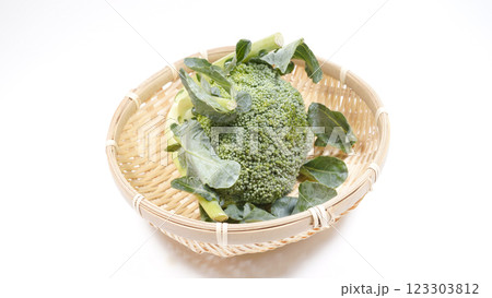 ブロッコリー 123303812