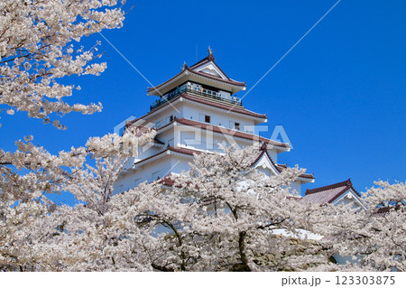 桜に包まれた鶴ヶ城(福島県・会津若松市) 桜に包まれた鶴ヶ城(福島県・会津若松市) 123303875