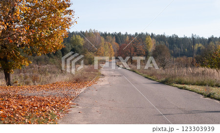A long, peaceful road, beautifully surrounded by vibrant autumn leaves and a truly serene landscape all around A long, peaceful road, beautifully surrounded by vibrant autumn leaves and a truly serene landscape all around 123303939