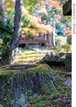 京都市　洛北上高野水車町　臨済宗大徳寺派　栖賢寺（せいけんじ）　日本庭園 123304156