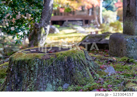 京都市 洛北上高野水車町 臨済宗大徳寺派 栖賢寺(せいけんじ) 日本庭園 京都市 洛北上高野水車町 臨済宗大徳寺派 栖賢寺(せいけんじ) 日本庭園 123304157