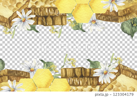 Sweet honey combs in watercolor banner template with white daisy flowers and green linden illustration. Isolated organic food frame, yellow hexagon combs for menu, label, logo, poster design Sweet honey combs in watercolor banner template with white daisy flowers and green linden illustration. Isolated organic food frame, yellow hexagon combs for menu, label, logo, poster design 123304179