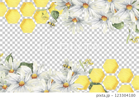 Golden honey combs hexagon with white chamomile flowers and bees watercolor banner. Hand drawn frame with copy space clipart, floral painting with field flowers for organic shop,medicine pack design 123304180