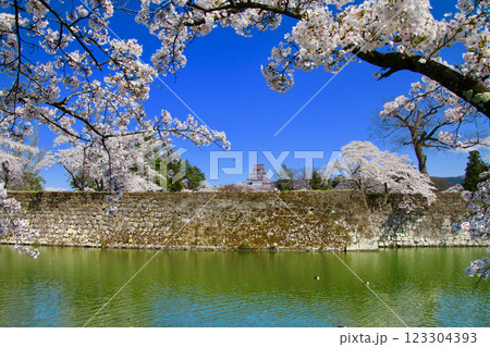 外堀からの鶴ヶ城(福島県・会津若松市) 外堀からの鶴ヶ城(福島県・会津若松市) 123304393
