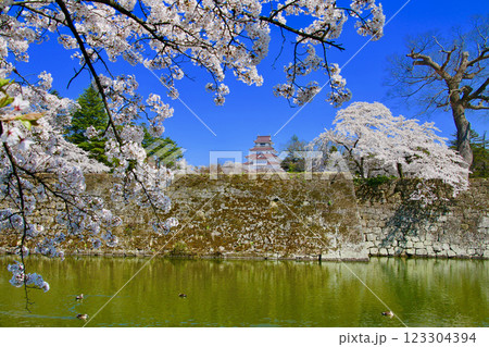 外堀からの鶴ヶ城（福島県・会津若松市） 123304394