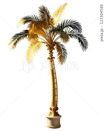 Alexander Palm Tree, classical form study, golden hour lighting, floating design 123304589