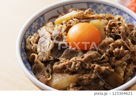 玉子の黄身を乗せた美味しそうな牛丼 123304621
