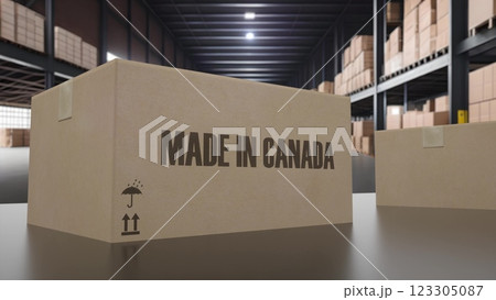 Boxes with MADE IN CANADA text on conveyor. 3d illustration 123305087