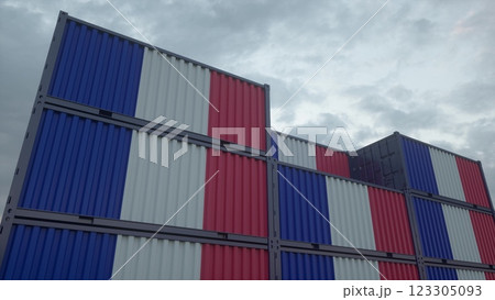 France flag containers are located at the container terminal. France export or import concept. 3d illustration France flag containers are located at the container terminal. France export or import concept. 3d illustration 123305093