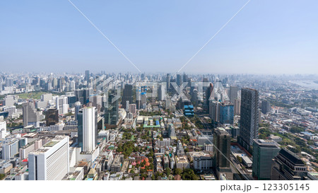A panoramic view of a bustling city featuring skyscraper and a mix of urban building. The clear sky provide a stunning backdrop to the dynamic landscape below. Bangkok, Thailand. 123305145