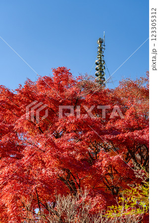 京都市左京区 洛北 上高野西明寺山 三明院(さんみょういん) 紅葉と多宝塔の相輪 京都市左京区 洛北 上高野西明寺山 三明院(さんみょういん) 紅葉と多宝塔の相輪 123305312