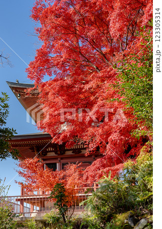 京都市左京区 洛北 上高野西明寺山 三明院(さんみょういん) 紅葉と多宝塔 京都市左京区 洛北 上高野西明寺山 三明院(さんみょういん) 紅葉と多宝塔 123305314