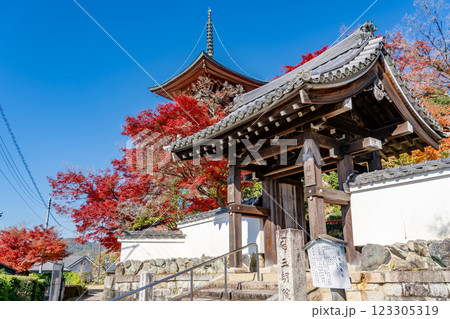 京都市左京区　洛北　上高野西明寺山　三明院（さんみょういん）　紅葉と多宝塔 123305319