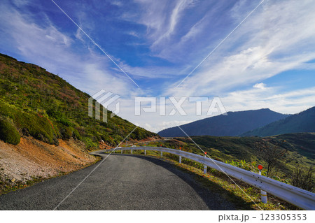 毛無峠の絶景ドライブ：ワインディングロードの旅 123305353