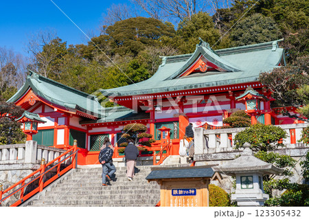 冬の足利織姫神社 社殿　栃木県足利市 123305432
