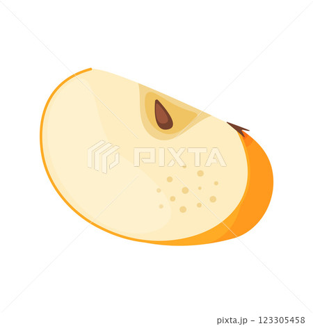 Slice of fresh yellow apple fruit, fresh garden fruit. Hand drawn food clipart Flat style Slice of fresh yellow apple fruit, fresh garden fruit. Hand drawn food clipart Flat style 123305458