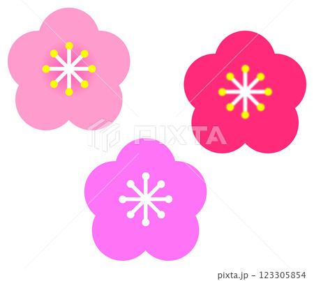旬の時期にカラフルで綺麗な梅の花 旬の時期にカラフルで綺麗な梅の花 123305854