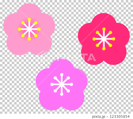 旬の時期にカラフルで綺麗な梅の花 旬の時期にカラフルで綺麗な梅の花 123305854