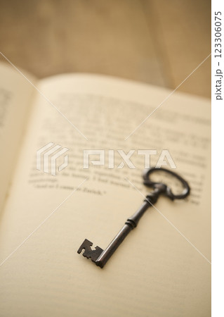 アンティークな本と鍵のイメージ 読書 アンティークな本と鍵のイメージ 読書 123306075