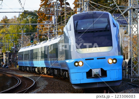横須賀線を走る特急鎌倉 E653系 横須賀線を走る特急鎌倉 E653系 123306083