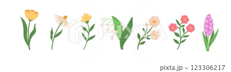 Set of spring blossom flowers vector illustrations. Hand draw style Set of spring blossom flowers vector illustrations. Hand draw style 123306217