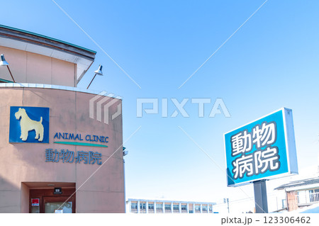 青空と動物病院 青空と動物病院 123306462