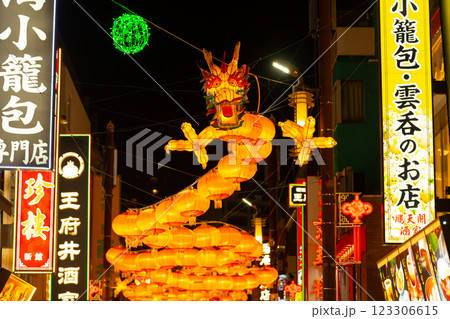 横浜中華街・春節燈花 横浜中華街・春節燈花 123306615