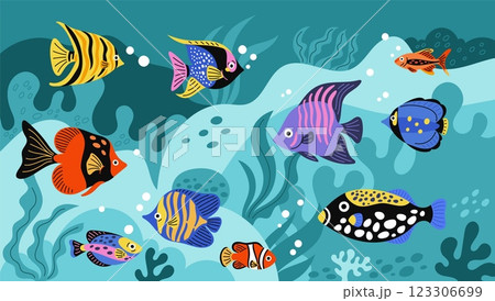 Exotic ocean fauna. Tropical fish on seabed. Marine seaweed. Underwater world. Natural habitat. Aquarium inhabitants. Coral reef goldfish. Undersea clownfish swim. Garish vector concept Exotic ocean fauna. Tropical fish on seabed. Marine seaweed. Underwater world. Natural habitat. Aquarium inhabitants. Coral reef goldfish. Undersea clownfish swim. Garish vector concept 123306699