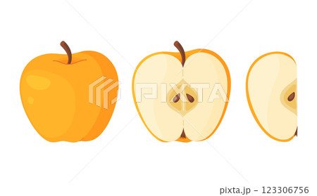 Yellow ripe apple, fresh garden fruit. Hand drawn food clipart. Whole, half, slice fruit Yellow ripe apple, fresh garden fruit. Hand drawn food clipart. Whole, half, slice fruit 123306756