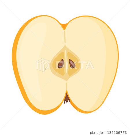 Slice of fresh yellow apple fruit, fresh garden fruit. Hand drawn food clipart Flat style 123306778