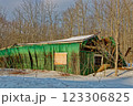 Old green barn collapses due to age and heavy snow load in winter 123306825