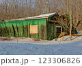 Old green barn collapses due to age and heavy snow load in winter 123306826