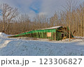 Old green barn collapses due to age and heavy snow load in winter 123306827