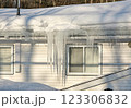 Large icicles and ice dams form at the edge of the snow-covered roof above frozen eavestrough gutter 123306832