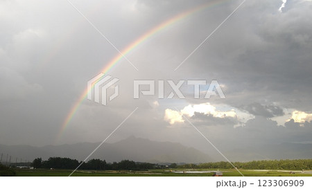 八ヶ岳高原に架かる虹（主虹と副虹） 123306909