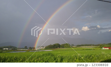 八ヶ岳高原に架かる虹（主虹と副虹） 123306910