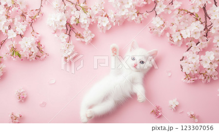 cat_027 cat_027 123307056