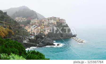 Panoramic view on fishing village Manarola in foggy day Panoramic view on fishing village Manarola in foggy day 123307764