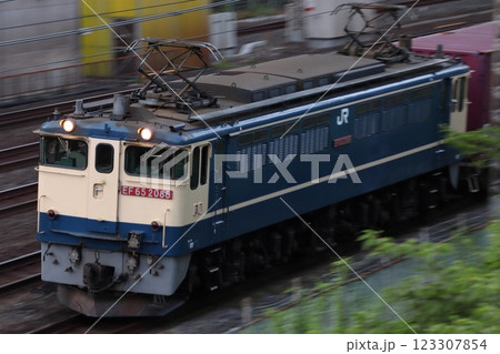 東北貨物線を行く貨物列車(EF65形1000番台牽引) 東北貨物線を行く貨物列車(EF65形1000番台牽引) 123307854