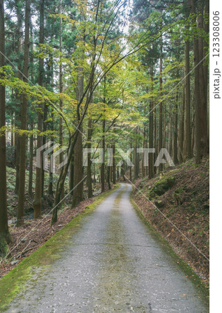 [古知谷 阿弥陀寺]山深い山道 123308006