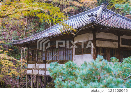 [古知谷 阿弥陀寺]色鮮やかな紅葉と歴史的な建物 123308046