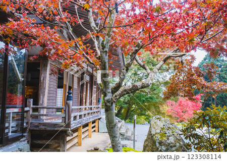 [古知谷 阿弥陀寺]美しい紅葉が印象的な風景 123308114