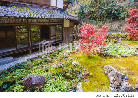 [古知谷 阿弥陀寺]美しい紅葉が印象的な風景 123308115