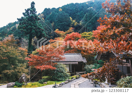 [古知谷 阿弥陀寺]美しい紅葉が印象的な風景 123308117