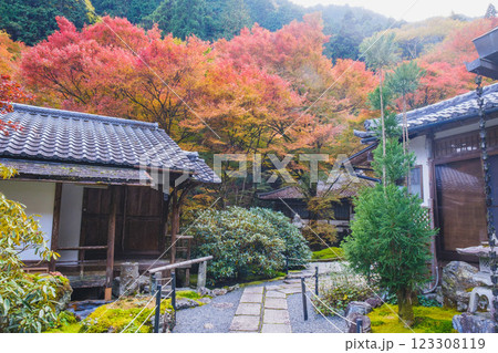 [古知谷 阿弥陀寺]美しい紅葉が印象的な風景 123308119