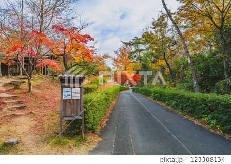 浜松市にある静岡県立森林公園の紅葉の中を歩く風景(静岡県) 浜松市にある静岡県立森林公園の紅葉の中を歩く風景(静岡県) 123308134