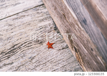 [古知谷 阿弥陀寺]お寺の廊下に落ちた紅葉 123308135