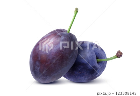 プルーン イラスト リアル 123308145