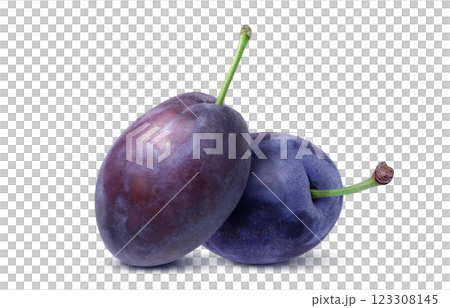 プルーン イラスト リアル 123308145