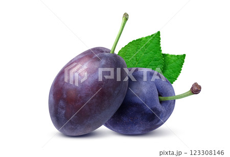 プルーン イラスト リアル 123308146